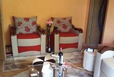 Apartament cu 2 camere semidecomandat, mobilat în Cetate - 5
