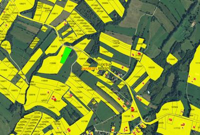 Teren Construcții intravilan de 3000 mp, în Predeluț - 6