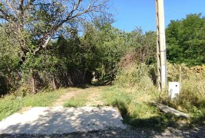 Teren de 4786 mp, în Jugureni - 5
