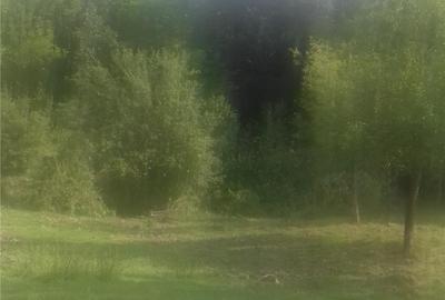 Teren în Central - 1