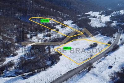 Teren Pretabil Investitie | Parau Rece Rasnov | 10.035mp | Extravilan - 1