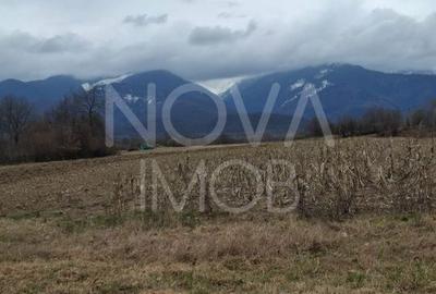 Teren de 2100 mp, în Poplaca - 5