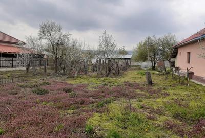 Casă cu 3 camere cu Teren 2500 Mp în Butoiești - 2