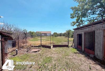 Casă cu 4 camere cu Teren 1459 Mp în Secusigiu - 13