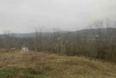 Casă cu 2 camere în Tisău - 3