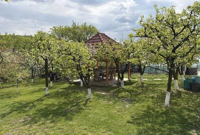 Casă cu 4 camere în Miroslava - 7