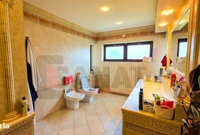 Casă cu 4 camere în Paltin - 18