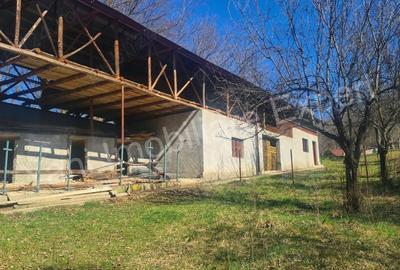 Casă cu Teren 9815 Mp în Borovinești - 14