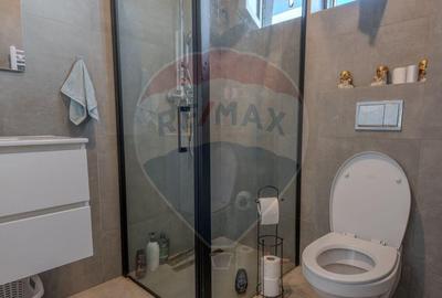 Casa individuala P+1+M mobilata, utilata - Dragomire?... - 9