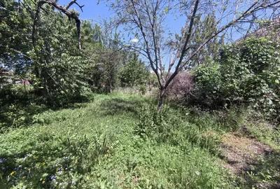 Casa cu 5 camere ?i anexa in INEU - 4