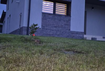 Casă cu 4 camere în Coman - 6