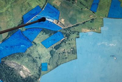 Teren agricol extravilan de 500000 mp, în Tohani - 4