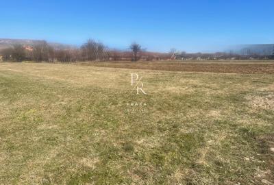 Teren Construcții intravilan de 2500 mp, în Florești - 2