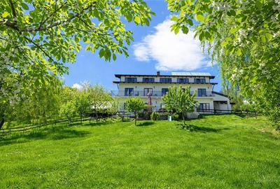Hotel/Pensiune, de 250 mp, în Exterior Est - 18