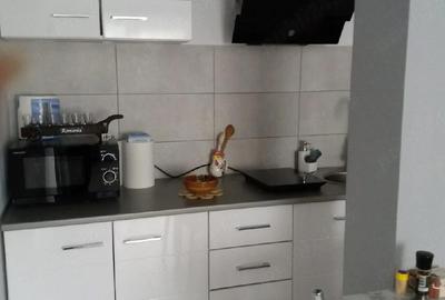 Apartament cu 2 camere nedecomandat în Poiana Țapului - 7