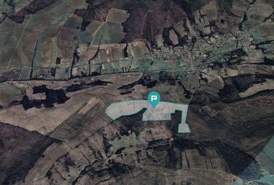 Teren arabil de 40 hectare in Seca?, Timi? - 3