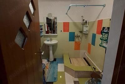 Casa fierbinti targ ialomita - 10