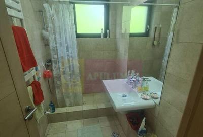 Vila de vanzare cu 6 camere in Cornu (teren 6.600 mp) - 7