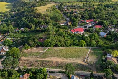 Teren de 3300 mp, în Vernești - 2
