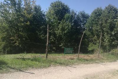 Spațiu comercial, în Bran - 1