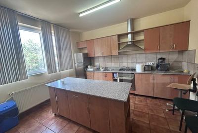 Birou, de 480 mp, în Brazda lui Novac - 10