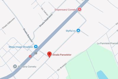 Cornetu,zona primariei,semistradal,100metri Alexandriei! - 4