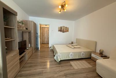 Garsonieră semidecomandată, mobilată în Dristor - 25