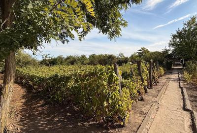 Casă cu 4 camere în Perișoru - 3