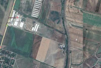 Teren Extravilan Banca, ID: R2805492 - 6