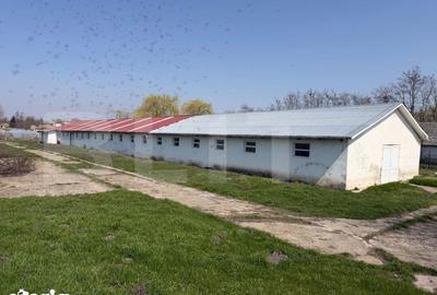 Spațiu comercial, de 952 mp, în Hănțești