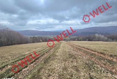 Teren de 2702 mp, în Vama Buzăului - 5