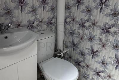 Apartament 1 camera- Blascovici - 4