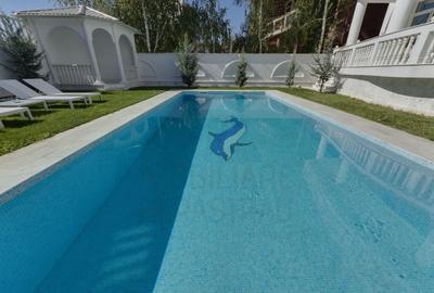 Casă individuală cu 14 camere cu Canalizare în Herăstrău - 4