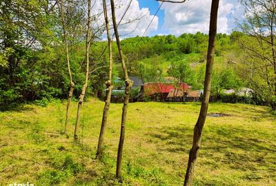 Teren de 628 mp, în Nord - 13