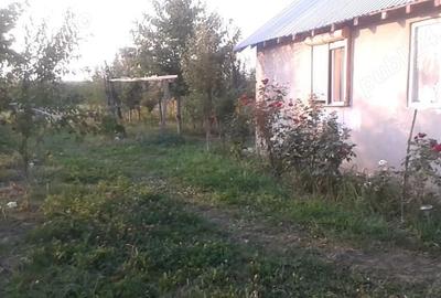 Casă cu 2 camere în Cătunu - 5