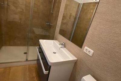 Penthouse with a generous terrace, with a superb view of Herastrau Park - 11