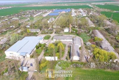 DE VANZARE –Teren Parc Industrial 18 ha cu Hale și Fotovoltaic – Arad - 1