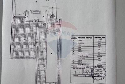 Casă cu 8 camere cu Teren 1193 Mp în Mogoșoaia - 10