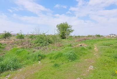 Teren de 2500 mp, în Dragomirești-Vale - 3