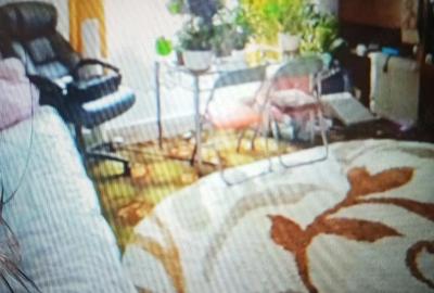 Casă cu 3 camere cu Teren 250 Mp în Petros - 9