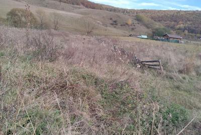 Spațiu comercial, în Sălicea - 6