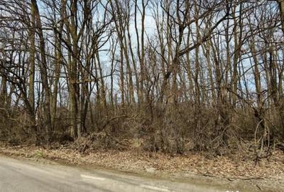 Teren în Corbeanca - 4