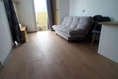 Casă cu 2 camere cu Teren 1000 Mp în Săldăbagiu de Munte - 7