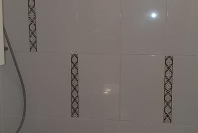 Lacul Tei, Maica Domnului, Domino, Parcul Circului - 16