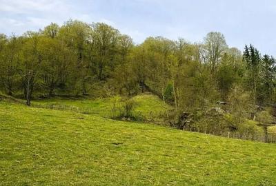 Teren de 1688 mp, în Vișinești - 3