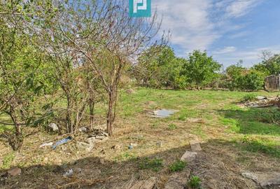 Casă spatioasă și solidă în Pecica - 30