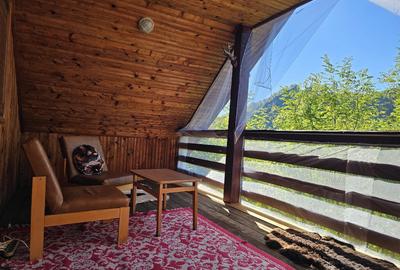 Cabana Lep?a, jud. Vrancea - Cheile Ti?i?ei - 13