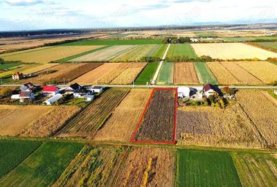 Teren intravilan de vanzare 3000 mp, Botiz, str. Sirul Mare, la doar 7 km de centrul Satu Mare - 7