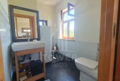 Casa Saseasca de vanzare in Somartin / Comision O % - 9