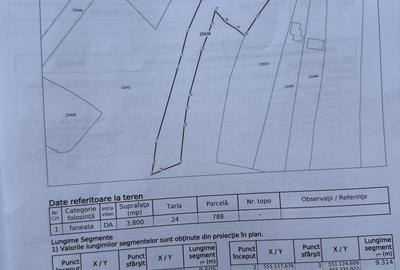 Teren Construcții intravilan de 3800 mp, în Provița de Sus - 12